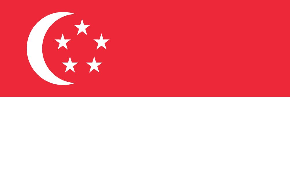 Singapore Visa Processing